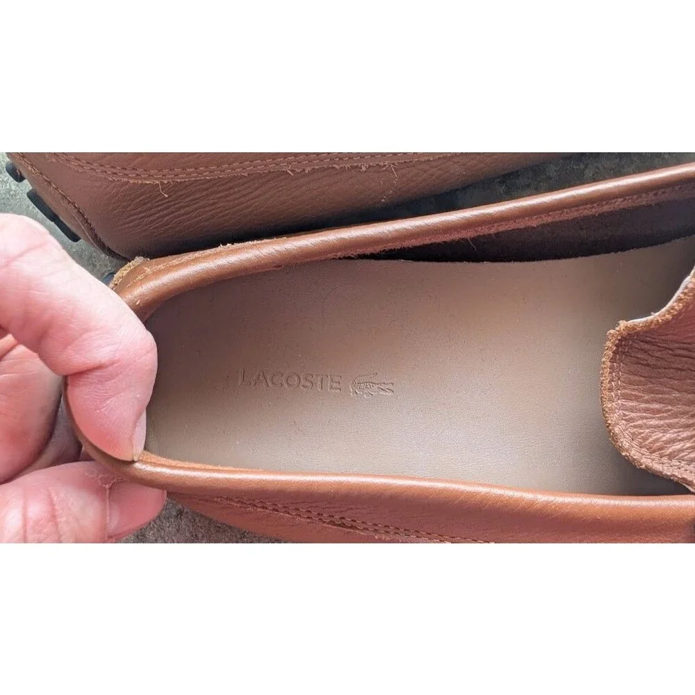 Lacoste men ansted